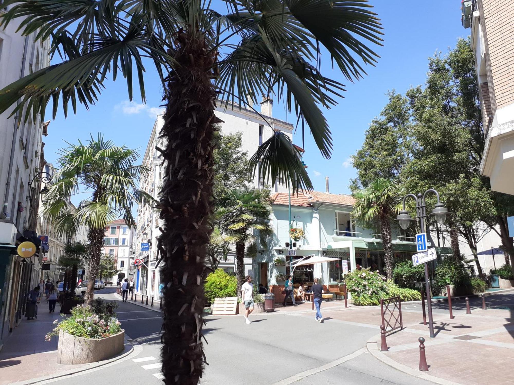 Maison Individuelle Avec Terrasse Nogent Sur Marne Nogent-sur-Marne Exterior foto